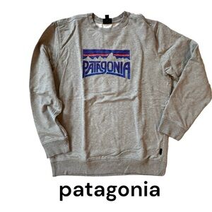 Patagonia The Fitz Roy Frostbite Midweight Crew Sweatshirt Men’s Medium EUC